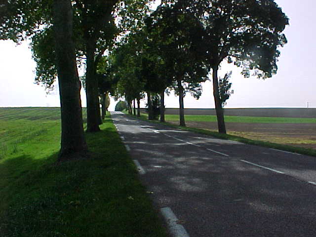 228 - UNE PETITE ROUTE SILENCIEUSE ET DELICIEUSE.jpg